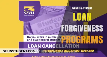 Understanding Student Loan Forgiveness Programs: A Comprehensive Guide for Borrowers