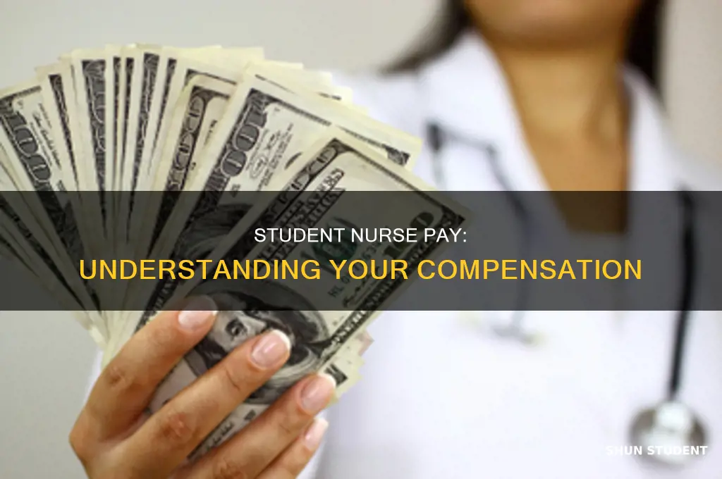 what is a student nurses pay