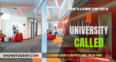 Unveiling the Secrets of University Study Spots