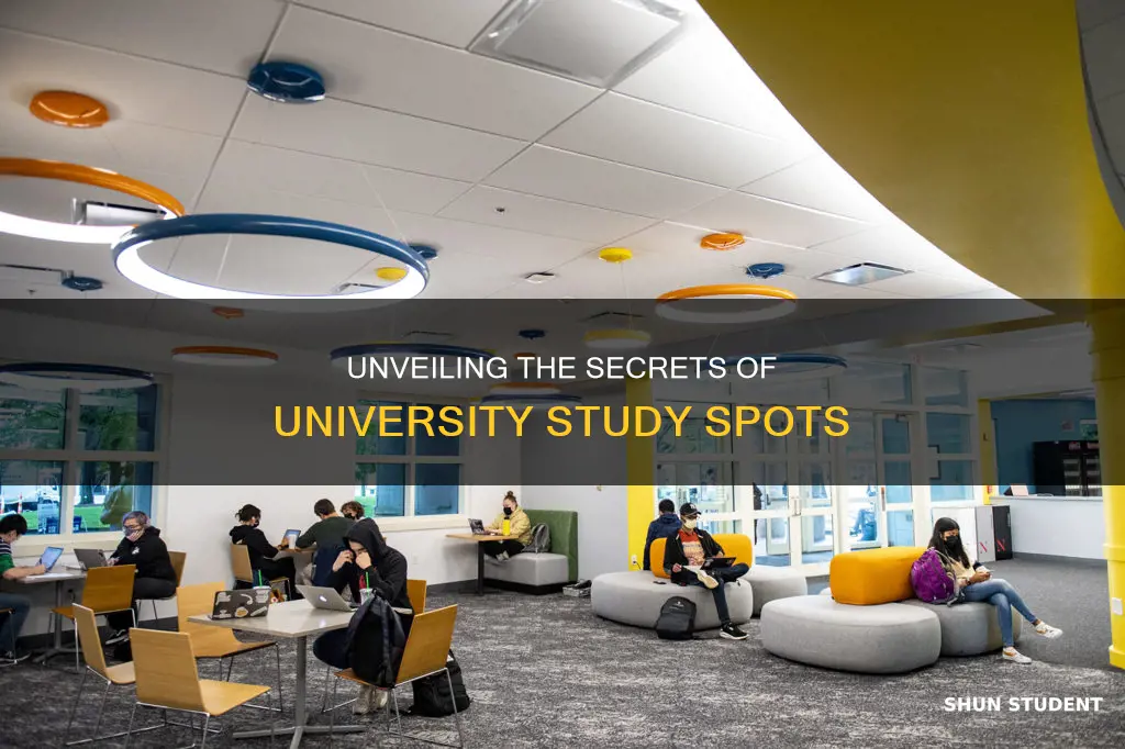 what is a student study spot in a university called