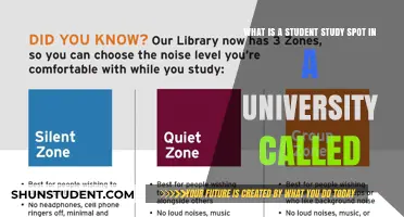 Finding Your Study Sanctuary on Campus