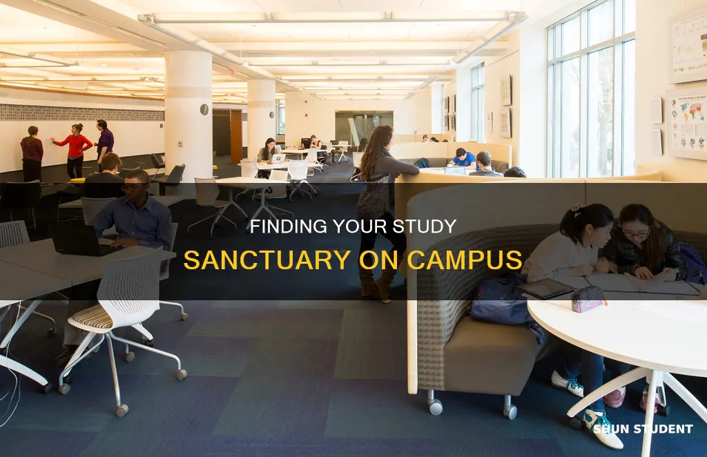 what is a student study spot in a university called