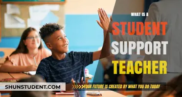 Understanding the Role of a Student Support Teacher in Education