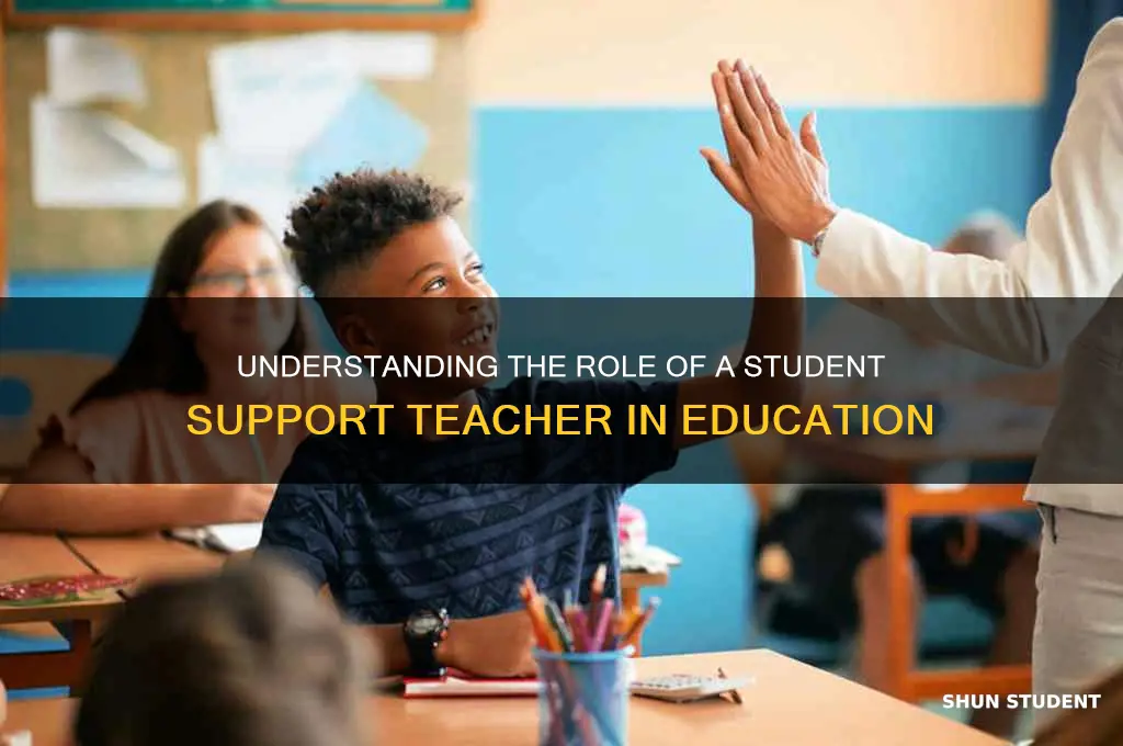 what is a student support teacher