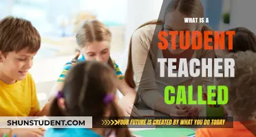 Understanding the Role: What Is a Student Teacher Called?