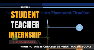 Exploring Student Teacher Internships: A Path to Classroom Experience