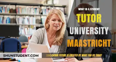 Maastricht University Student Tutors: Support and Guidance
