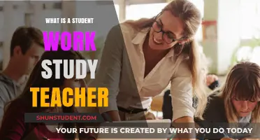 Understanding the Role of a Student Work-Study Teacher in Education