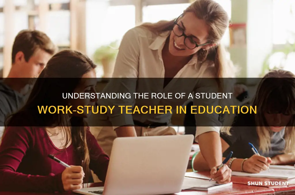 what is a student work study teacher