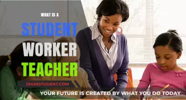 Exploring the Role of a Student Worker Teacher in Education