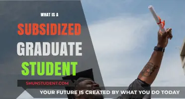 Understanding Subsidized Graduate Studies: A Path to Affordable Education