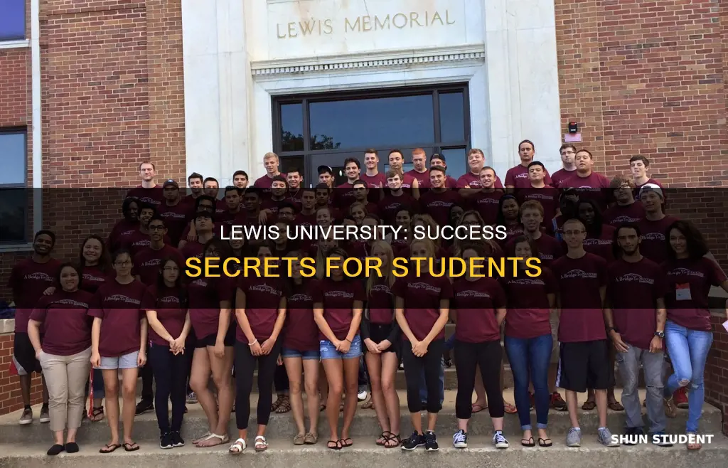 what is a success student at lewis university