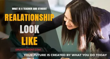Building Trust: The Dynamics of Teacher-Student Relationships Explained