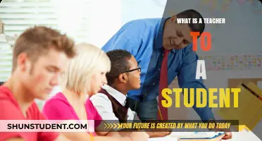 The Role of a Teacher: Mentor, Guide, and Inspiration for Students