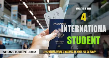 Understanding Tier 4 International Student Status