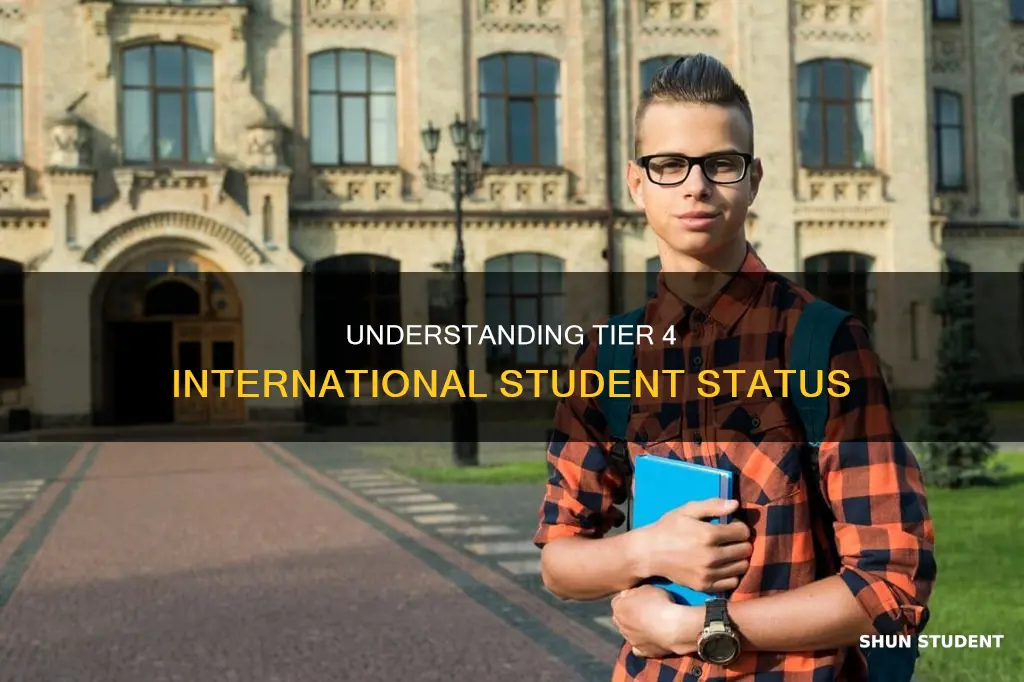 what is a tier 4 international student