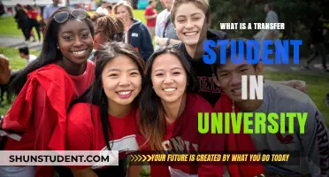 Transfer Students: Understanding University Switches