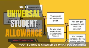 Understanding Universal Student Allowance: A Comprehensive Guide