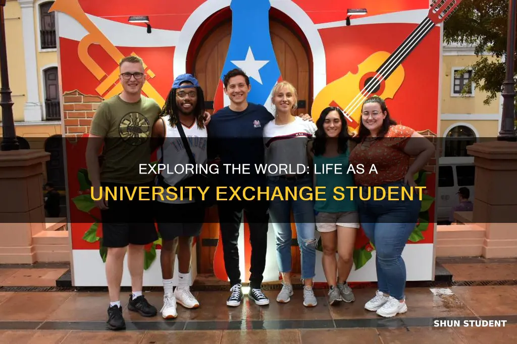 what is a university exchange student