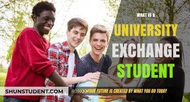 Exchange Student Life: A University Adventure