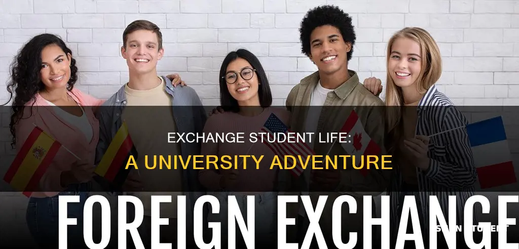 what is a university exchange student