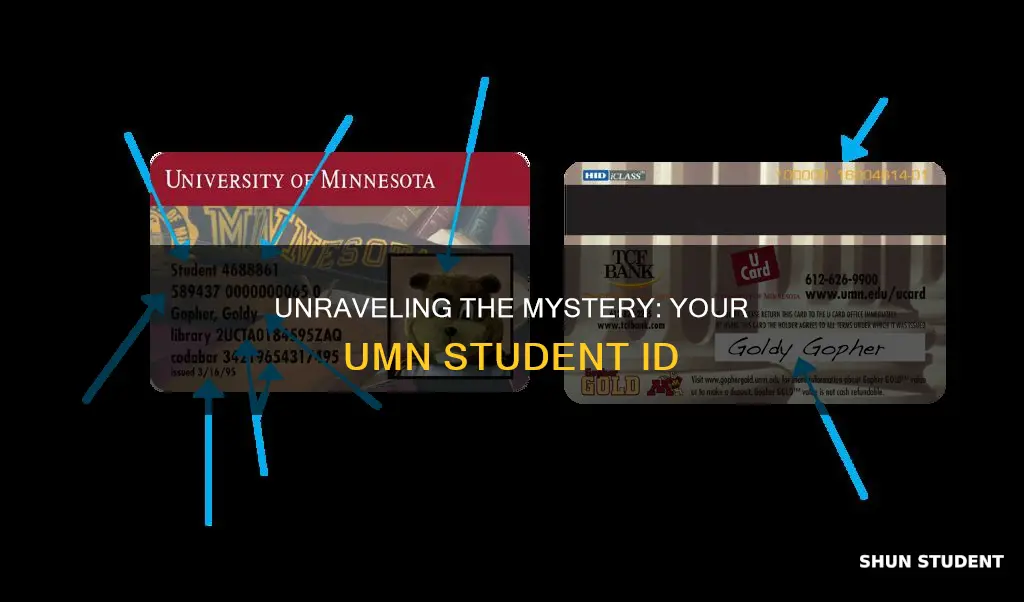 what is a university of minnesota student id number