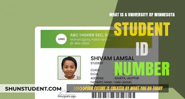 University of Minnesota Student ID Numbers Explained