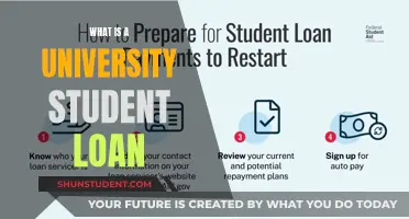 Understanding University Student Loans: A Comprehensive Guide