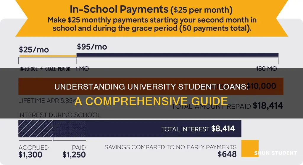 what is a university student loan