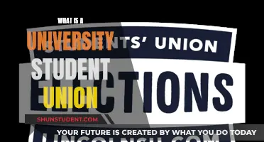 Understanding the Role of University Student Unions