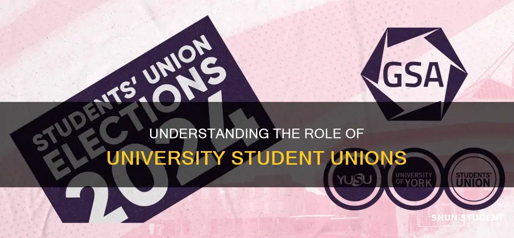 what is a university student union