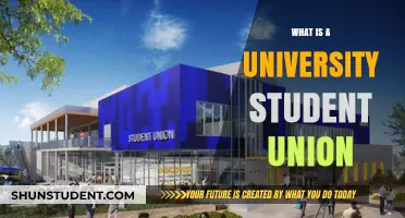 Understanding Student Unions: Their Role and Importance