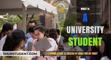 University Students: A Definition and Exploration