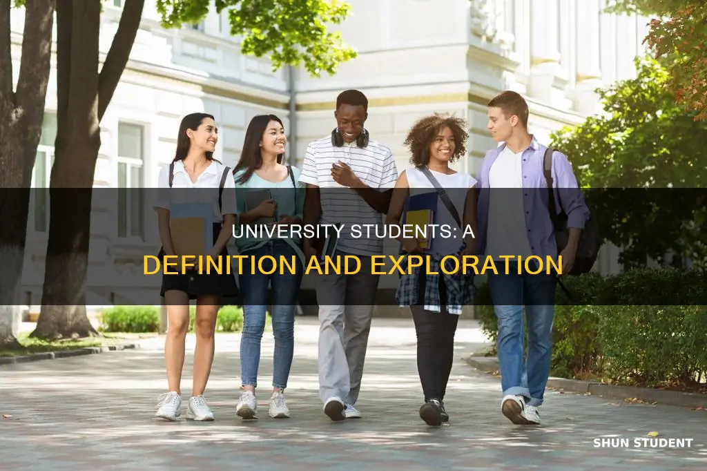 what is a university student