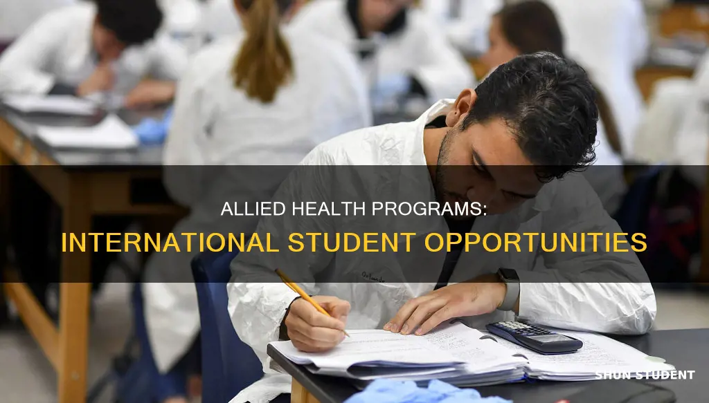 what is allied health program for international students