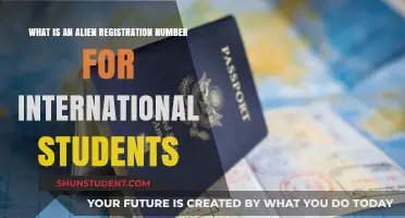Alien Registration: International Students' Guide to Understanding Their Number