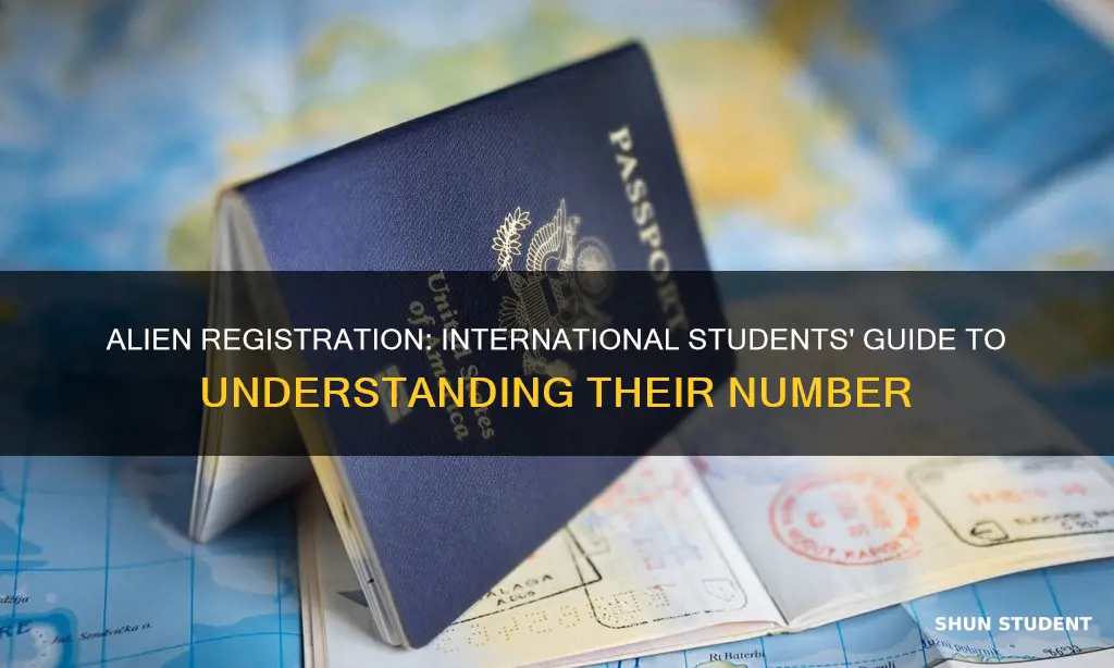 what is an alien registration number for international students