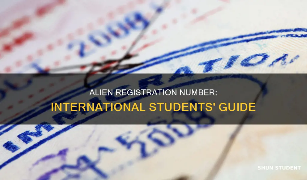 what is an allien registration number for international students