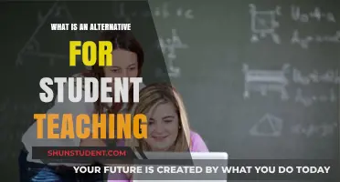 Exploring Innovative Alternatives to Traditional Student Teaching Methods