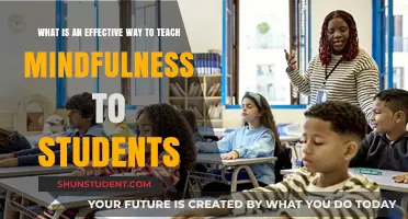 Cultivating Calm: Effective Mindfulness Techniques for Student Success