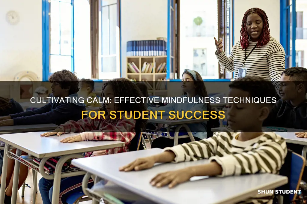what is an effective way to teach mindfulness to students