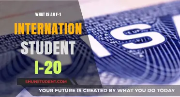 Understanding the F-1 Student Visa and I-20 Form