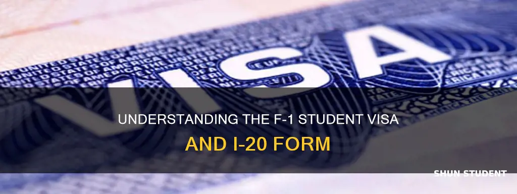 what is an f-1 internation student i-20