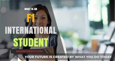 Understanding F1 Visa Status for International Students