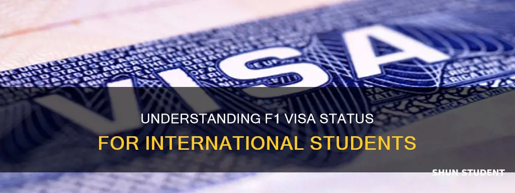 what is an f1 international student