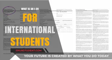 Understanding the I-20 Form for International Student Visas