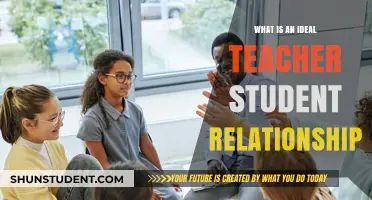 Fostering Trust, Respect, and Growth: The Ideal Teacher-Student Relationship