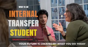 Transferring Within: Understanding Internal Student Transfers