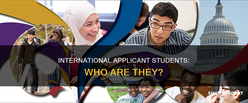 what is an international applicant student