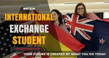 Exploring Student Life Abroad: Exchange Programs